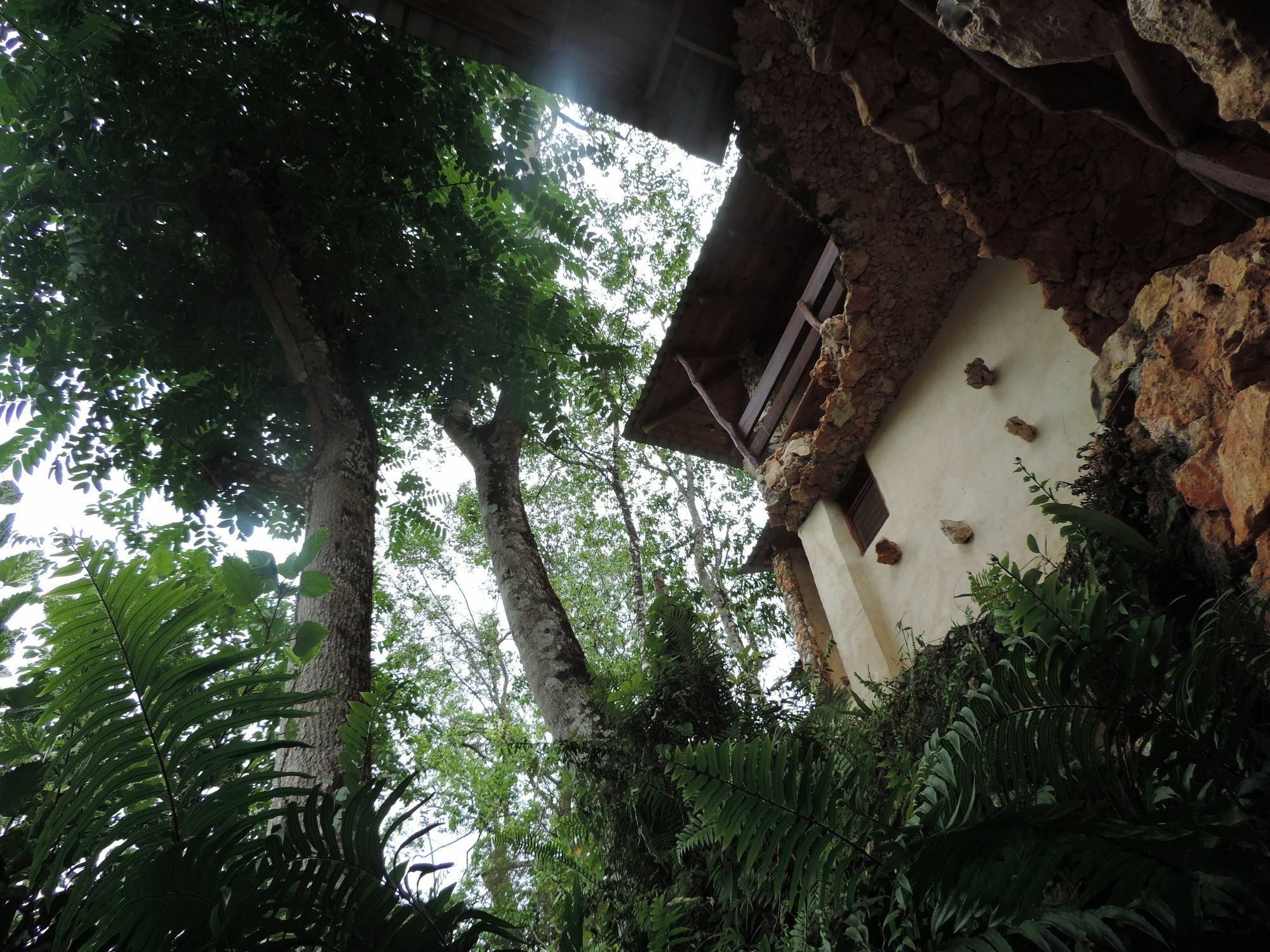 Altos De Cano Hondo Los Guineos Perdidos Exterior foto